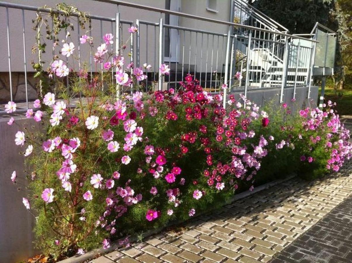 Ferienwohnungen Haus Sauer Offenheim Bagian luar foto